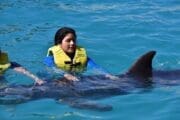 Jeep Riders Dolphin Cozumel Tours