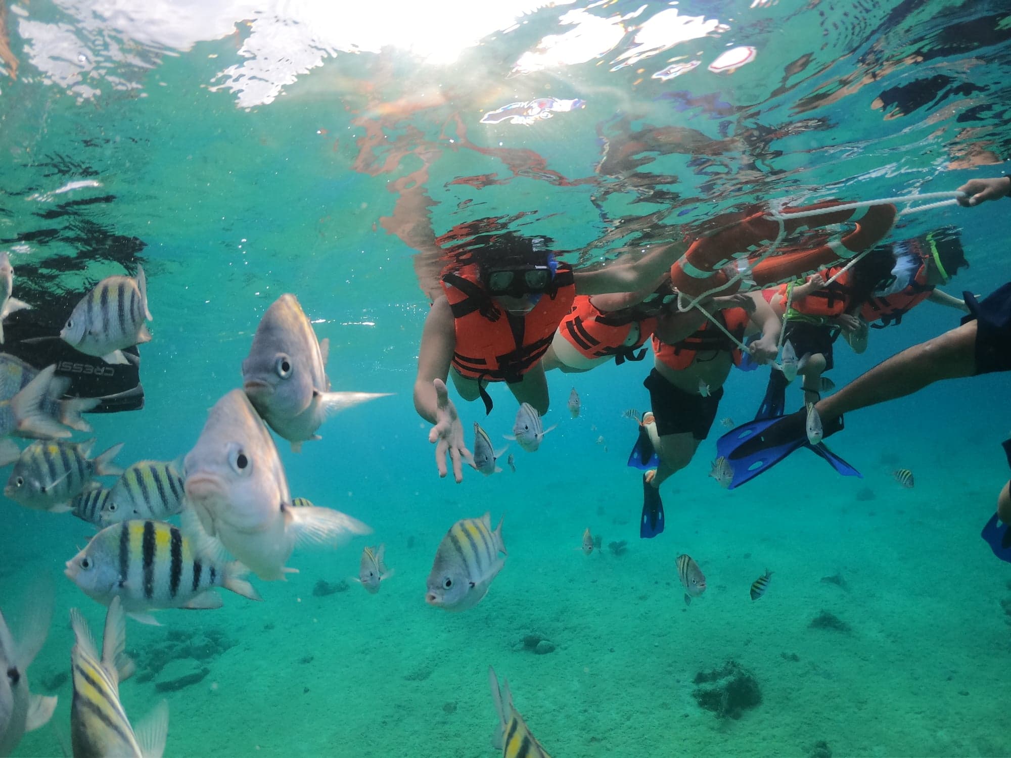 Clear boat Cozumel Jeep Riders Cozumel Tour