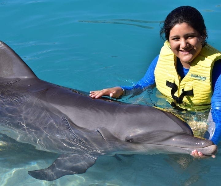 swim with dolphin cozumel and jeep riders