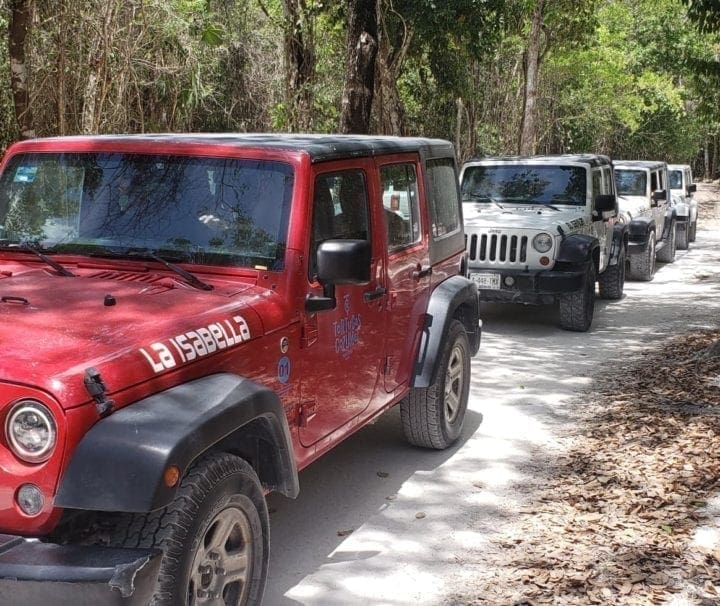 Cozumel Jeep Adventure to Jade Cavern and Cenote with Lunch and snorkel- Cozumel tours excursions