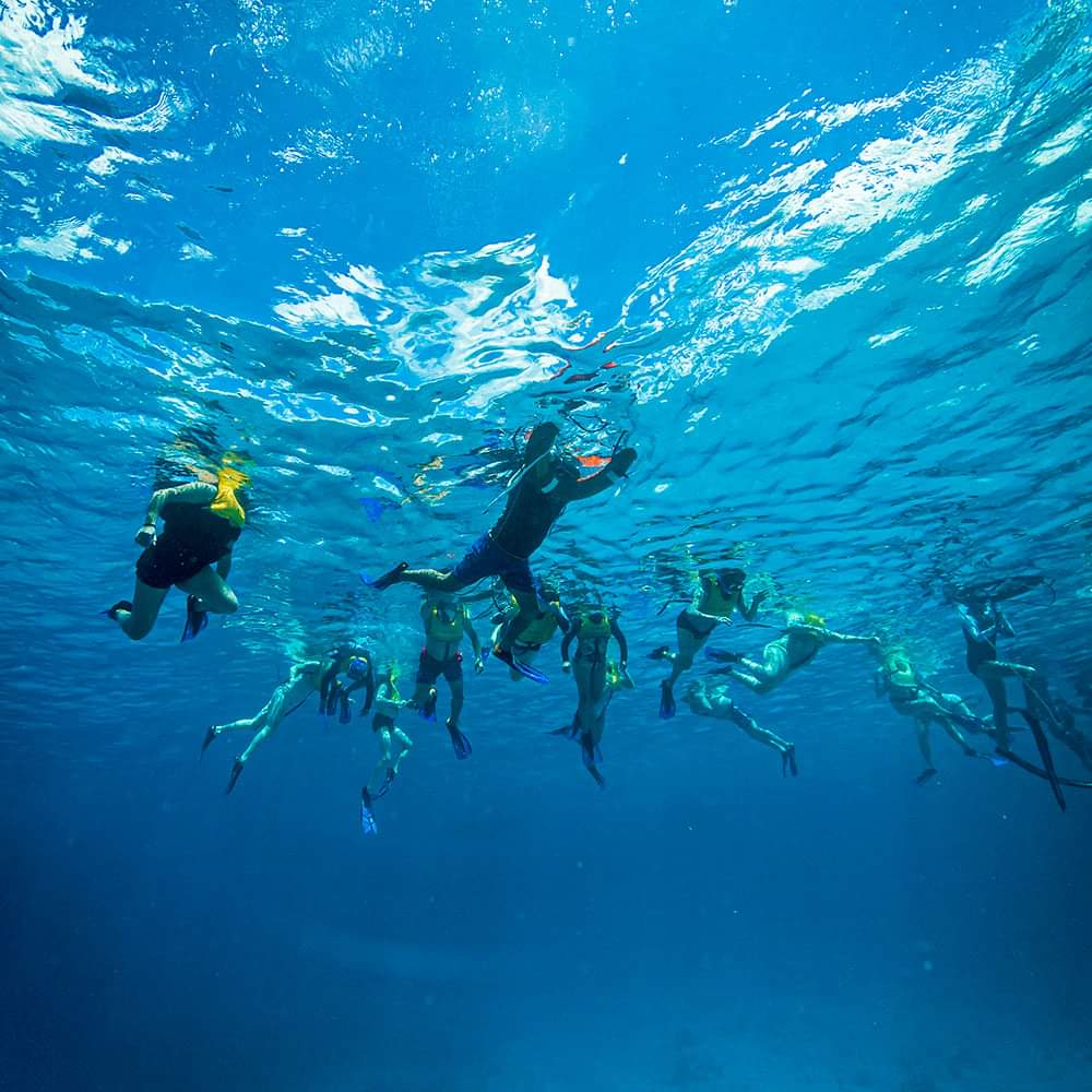 Cozumel Snorkel El Cielo