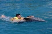 Jeep Riders Dolphin Cozumel Tours