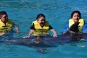 Jeep Riders Dolphin Cozumel Tours