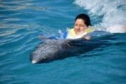 Jeep Riders Dolphin Cozumel Tours