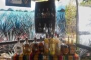 Private Cozumel Jeep Tour