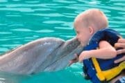 Jeep Riders Dolphin Cozumel Tours