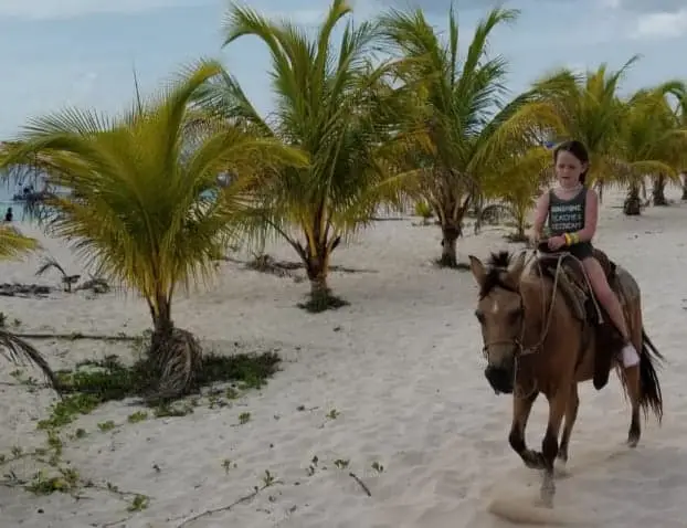 Cozumel-Horseback-Riding