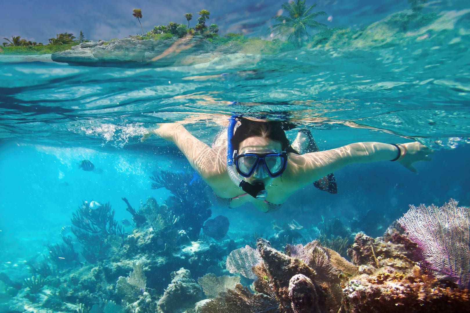 Cozumel Snorkeling Tour and El Cielo