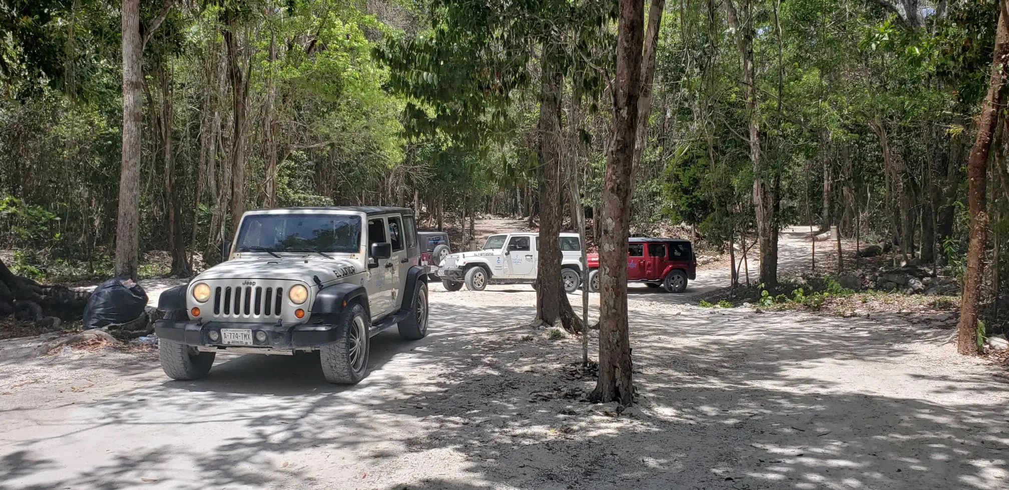Cozumel Jeep Adventure to Jade Cavern and Cenote